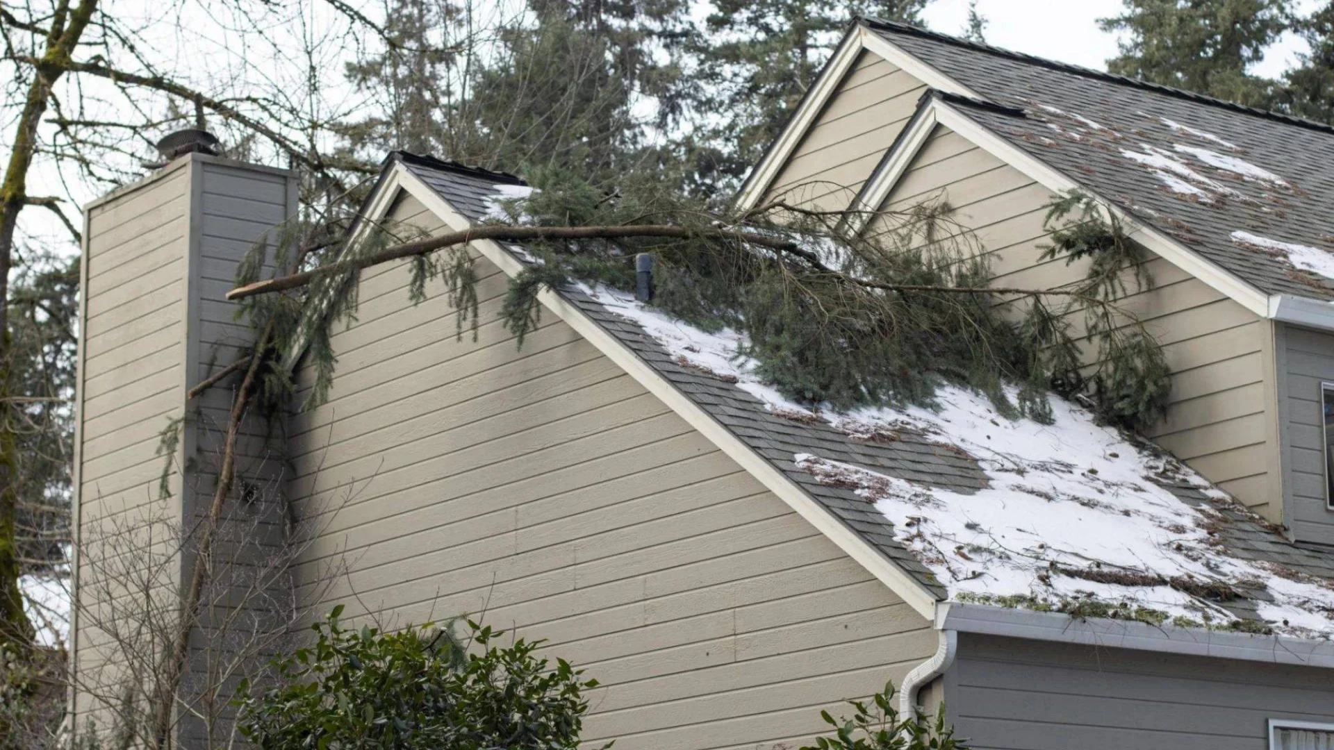 Storm damaged roof with a fallen tree limb on a home in Rochester, NY